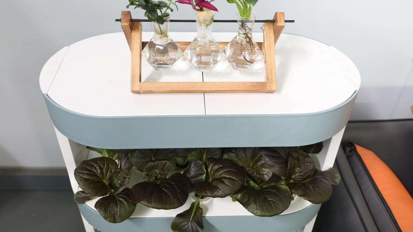 XMSJ Sensh Vertical Hydroponic Tower Garden System