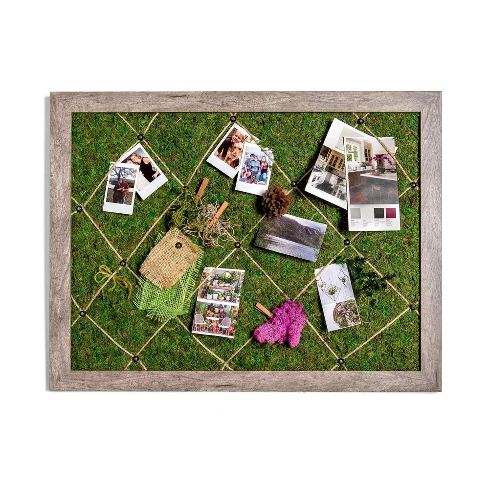 XMSJ Moss Mat Real Moss Liner For Planters Indoor Outdoor
