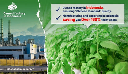 Smart Garden Hydroponic Indoor Grow System With LED Lighting