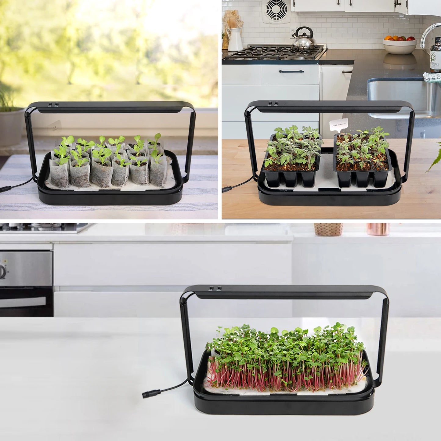 Smart Garden Hydroponic Indoor Grow System With LED Lighting