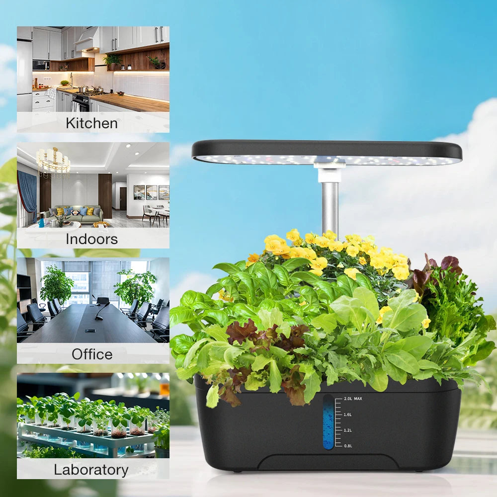 Choice Hydroponics Growing System With LED Light And Self Watering