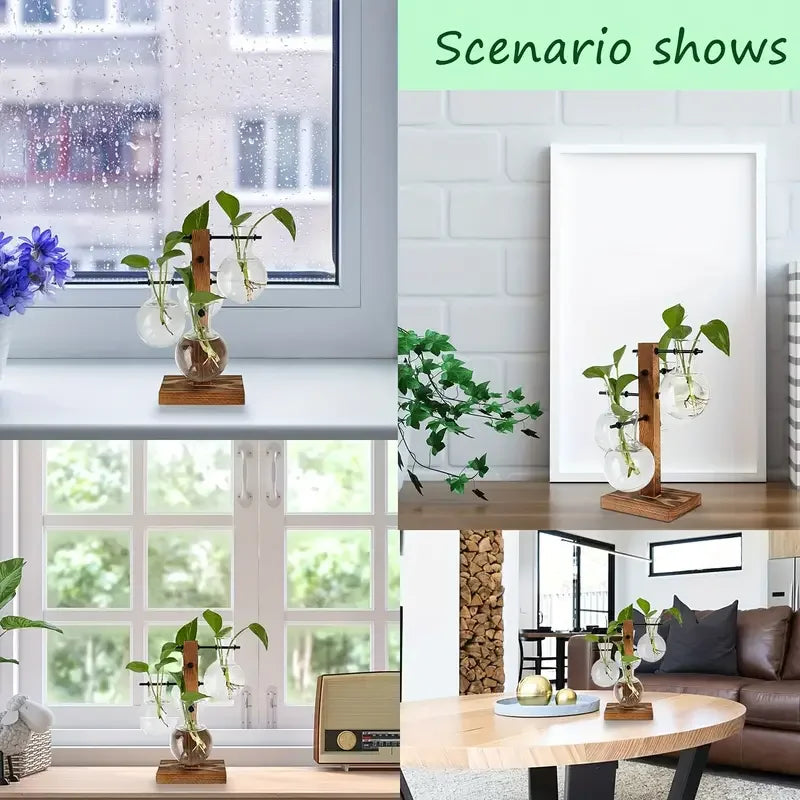 High Concerned Glass Hydroponic Plant Vase For Desktop Terrarium