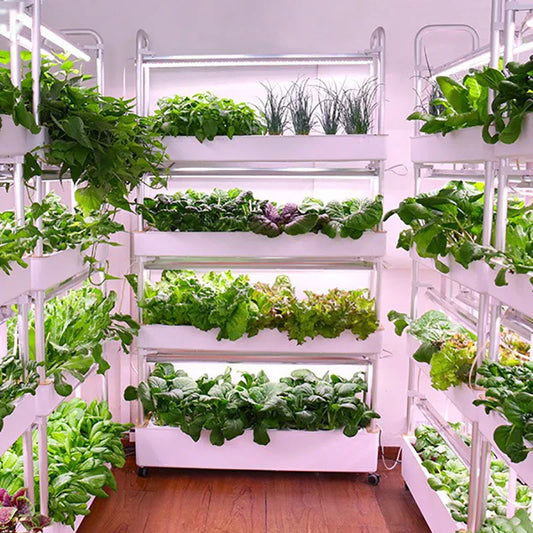 MDNG Hydroponics Vertical Indoor Growing System Garden Tower
