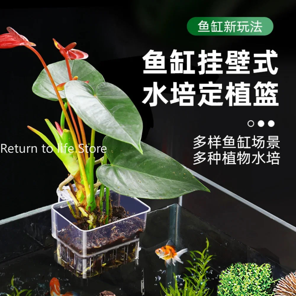 High-Concerned Fish Aquarium Hydroponic Plant Basket Grass Cup