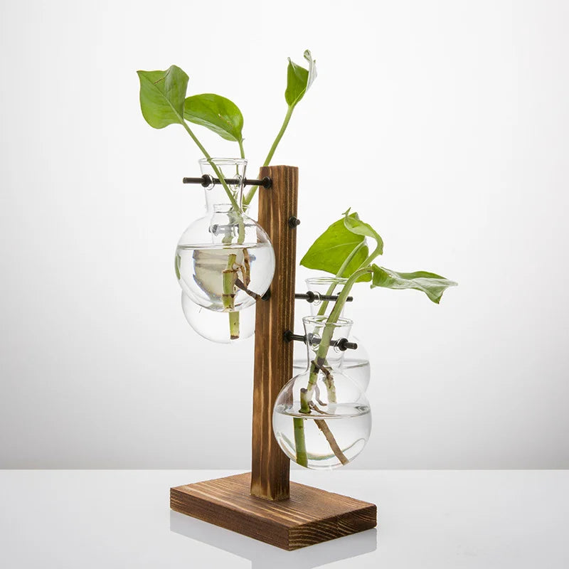 High Concerned Glass Hydroponic Plant Vase For Desktop Terrarium
