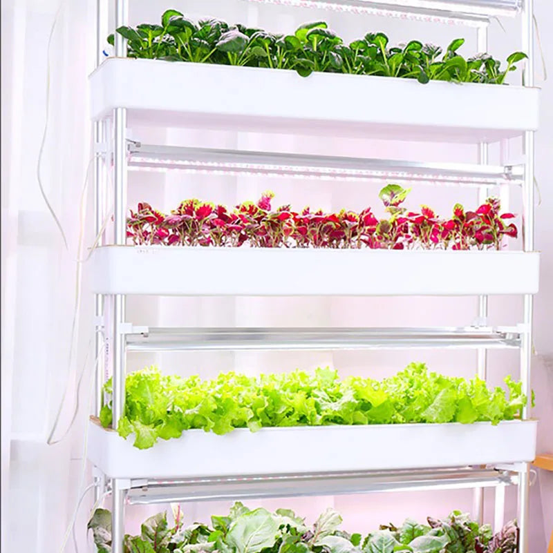 MDNG Hydroponics Vertical Indoor Growing System Garden Tower