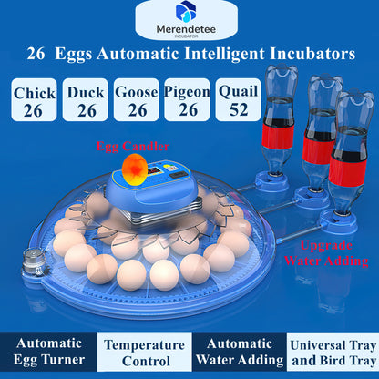 Egg Incubator 26 To 52 Eggs With Automatic Water Adding