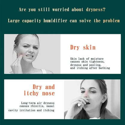 Dual Jet Humidifier And Air Purifier USB Powered Diffuser