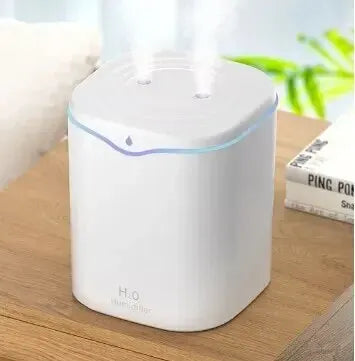 Dual Jet Humidifier And Air Purifier USB Powered Diffuser