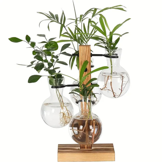 High Concerned Glass Hydroponic Plant Vase For Desktop Terrarium