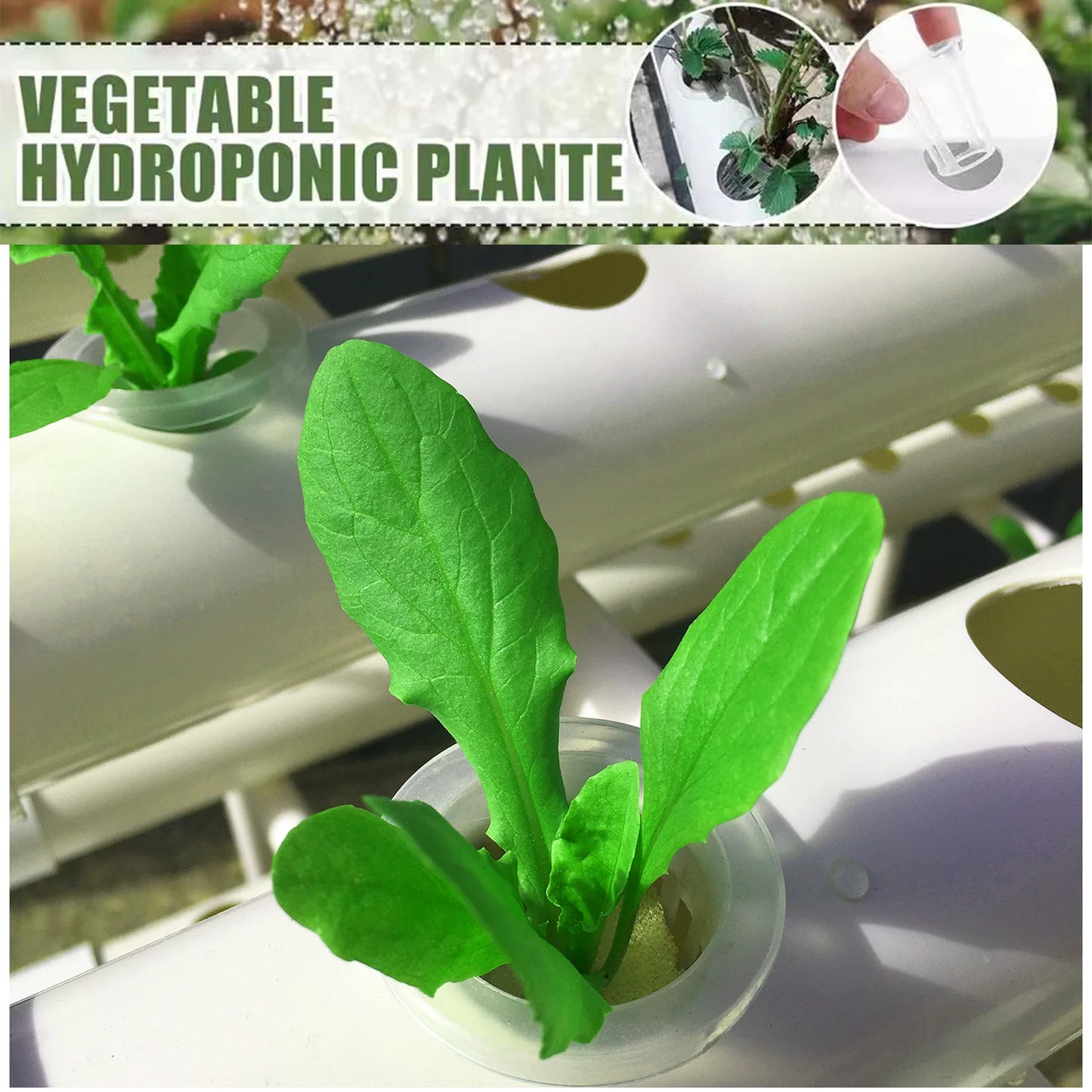 Hydroponics 3-Layer Growing System for Vegetables and Herbs