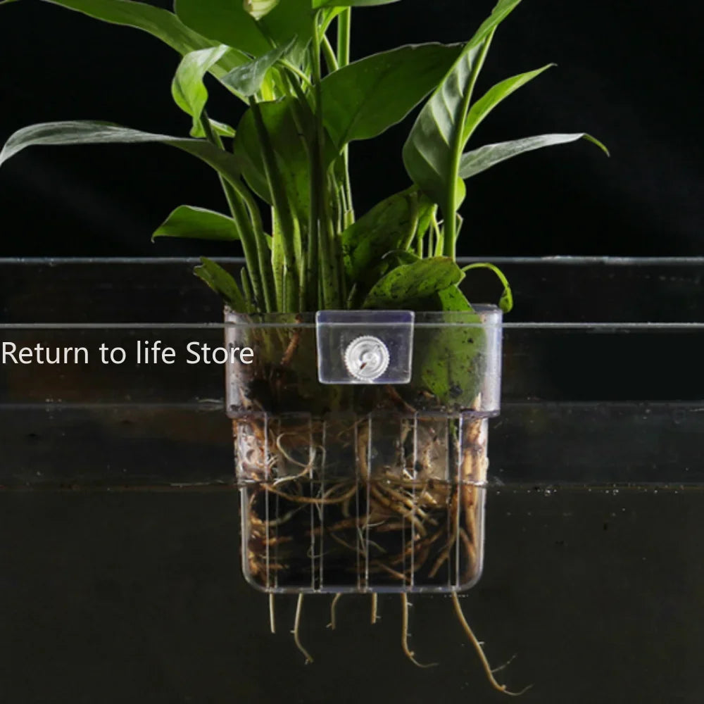 High-Concerned Fish Aquarium Hydroponic Plant Basket Grass Cup