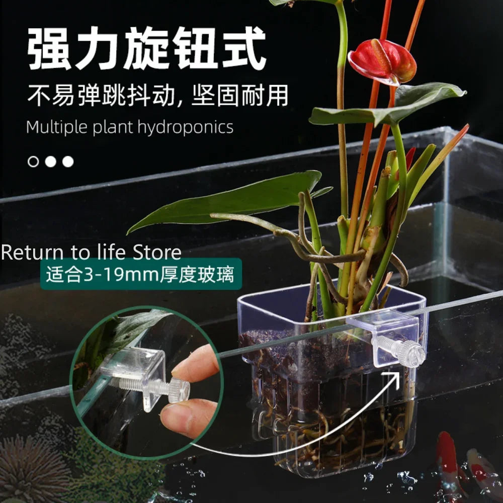 High-Concerned Fish Aquarium Hydroponic Plant Basket Grass Cup