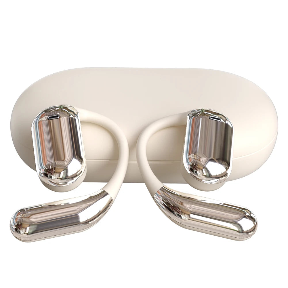 Alloyseed 3 In 1 AI Real Time Translator Earbuds