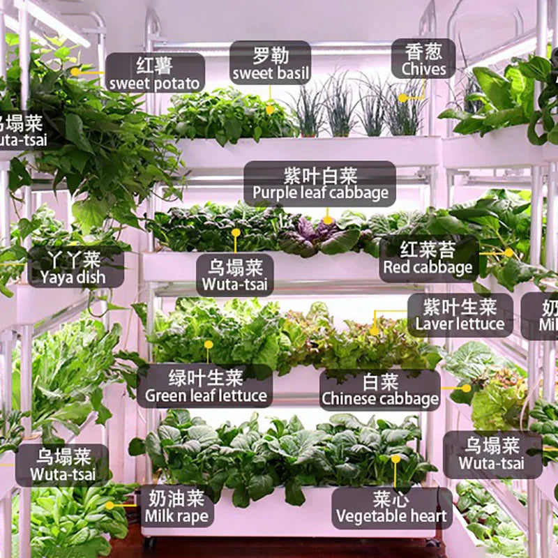 MDNG Hydroponics Vertical Indoor Growing System Garden Tower
