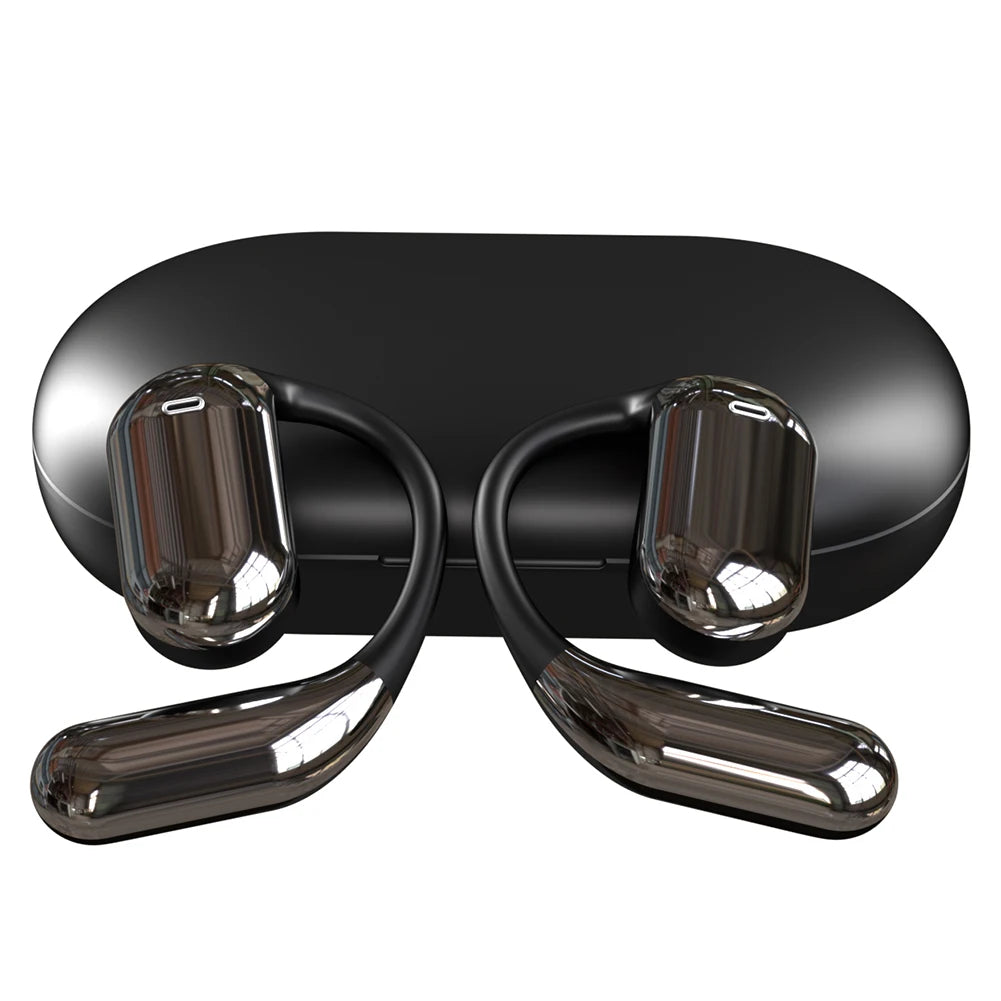 Alloyseed 3 In 1 AI Real Time Translator Earbuds