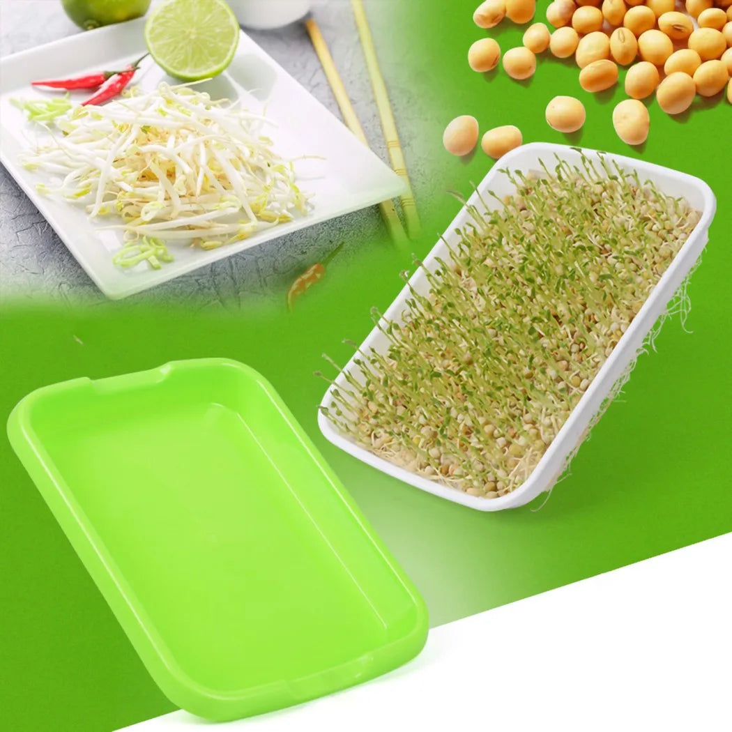 Choice Microgreens Sprouter Tray 2 Layer Hydroponic Sprouting System