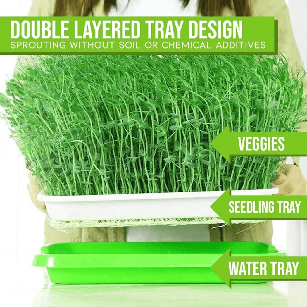 Choice Microgreens Sprouter Tray 2 Layer Hydroponic Sprouting System