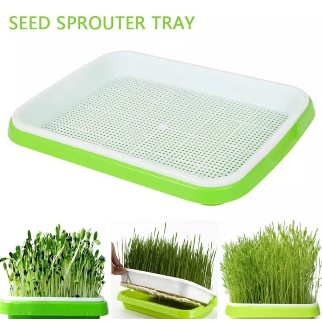Choice Microgreens Sprouter Tray 2 Layer Hydroponic Sprouting System