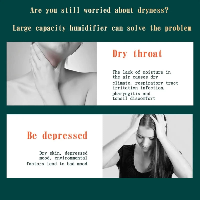 Dual Jet Humidifier And Air Purifier USB Powered Diffuser