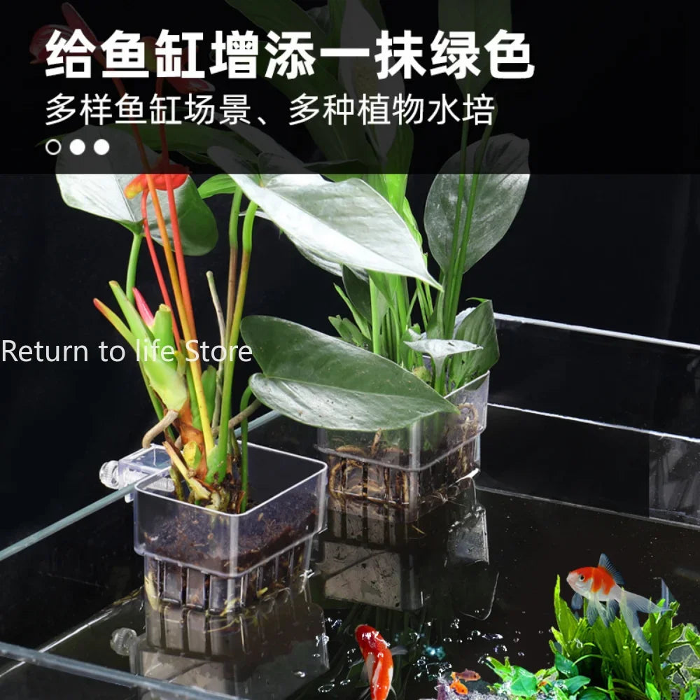 High-Concerned Fish Aquarium Hydroponic Plant Basket Grass Cup