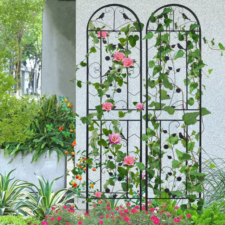 2-Pack Garden Trellis For Potted Vines And Vegetables, Metal
