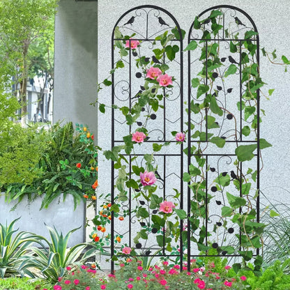 2-Pack Garden Trellis For Potted Vines And Vegetables, Metal