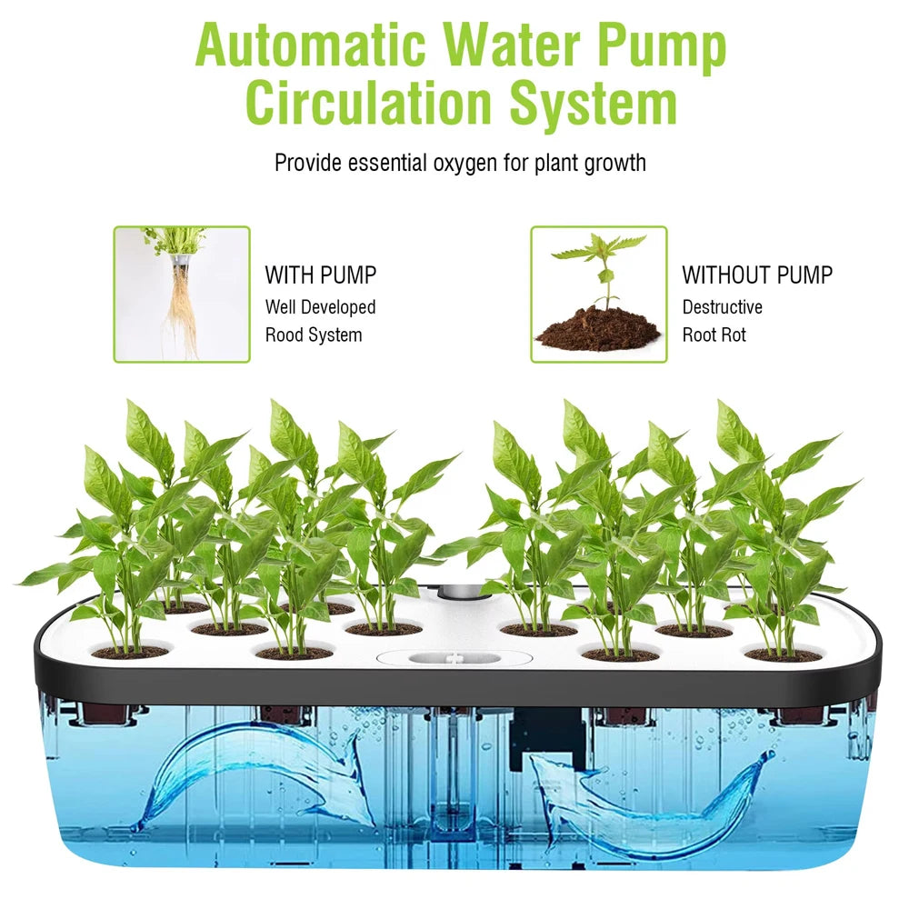 Choice Hydroponics Growing System With LED Light And Self Watering