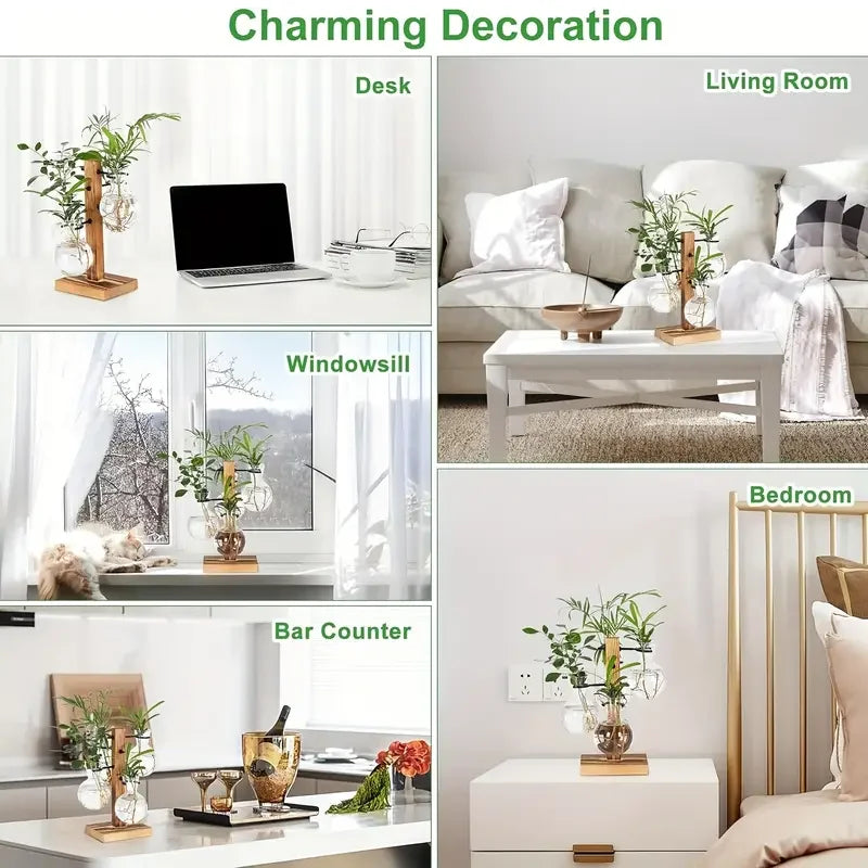 High Concerned Glass Hydroponic Plant Vase For Desktop Terrarium