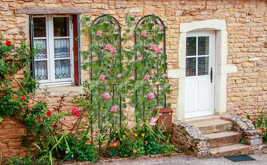 2-Pack Garden Trellis For Potted Vines And Vegetables, Metal